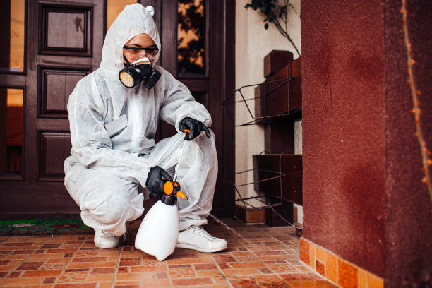 Reliable Ant Control contractor in Red Hill, PA by Nex Pest Control