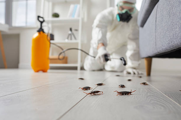 Trusted Cockroach Control service in Red Hill, PA - Nex Pest Control